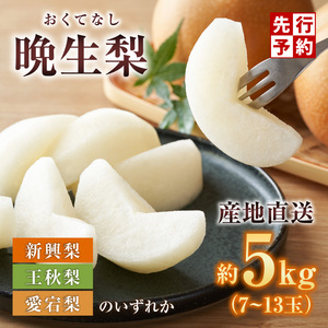 【2026年産】先行予約 梨 晩生梨 （ 新興梨 王秋梨 愛宕梨 のいずれか ） 5kg 7～13玉 【令和8年10月中旬以降発送予定】 フルーツ 果物  12-24