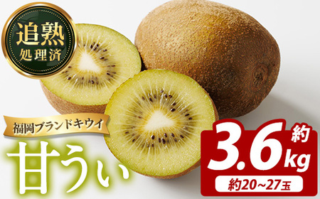 ＜先行予約受付中！2026年11月上旬～11月下旬に順次発送予定＞福岡県ブランドキウイ 甘うぃ (約計3.6kg・20～27玉) キウイ キウイフルーツ キュウイ あまうぃ フルーツ 生 国産 果物 くだもの【農産物直売所ほたるの里】as52-032