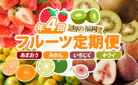 ＜定期便・年4回＞旬の福岡 フルーツ定期便(あまおう1kg/とよみつひめ1.2kg/早味かん3kg/甘うぃ3.6kg) いちご 苺 あまおう いちじく イチジク 無花果 みかん ミカン 蜜柑 キウイ あまうい 甘うい フルーツ 果物 定期便 頒布会【農産物直売所ほたるの里】as52-033