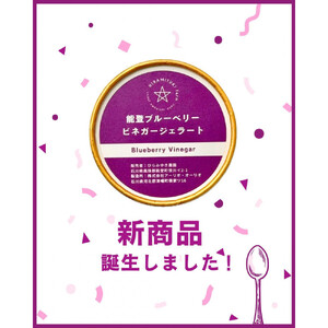 【復興支援】【新商品】能登ブルーベリービネガージェラート(6個)