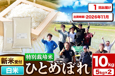《新米予約》令和8年産【白米】特別栽培米 ひとめぼれ 10kg（5kg×2袋）秋田県産【2026年11月出荷】 [ひとめぼれ 米 お米 白米 精米 特別栽培米 ブランド米 食卓 秋田県産 秋田県 由利本荘市]