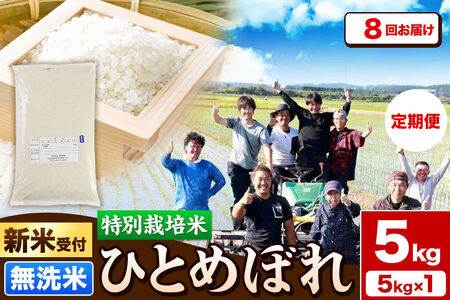 《新米予約》《定期便8ヶ月》令和8年産【無洗米】特別栽培米 ひとめぼれ 5kg 秋田県産 [ひとめぼれ 米 お米 白米 精米 無洗米 特別栽培米 ブランド米 食卓 秋田県産 秋田県 由利本荘市]