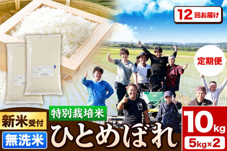 《新米予約》《定期便12ヶ月》令和8年産【無洗米】特別栽培米 ひとめぼれ 10kg（5kg×2袋）秋田県産 [ひとめぼれ 米 お米 白米 精米 無洗米 特別栽培米 ブランド米 食卓 秋田県産 秋田県 由利本荘市]