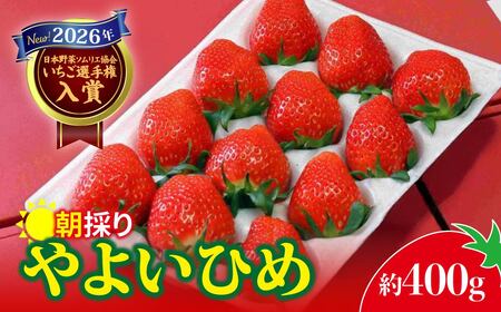 いちご やよいひめ 2026年全国いちご選手権入賞 400g × 1パック 2027年 先行予約 いちご