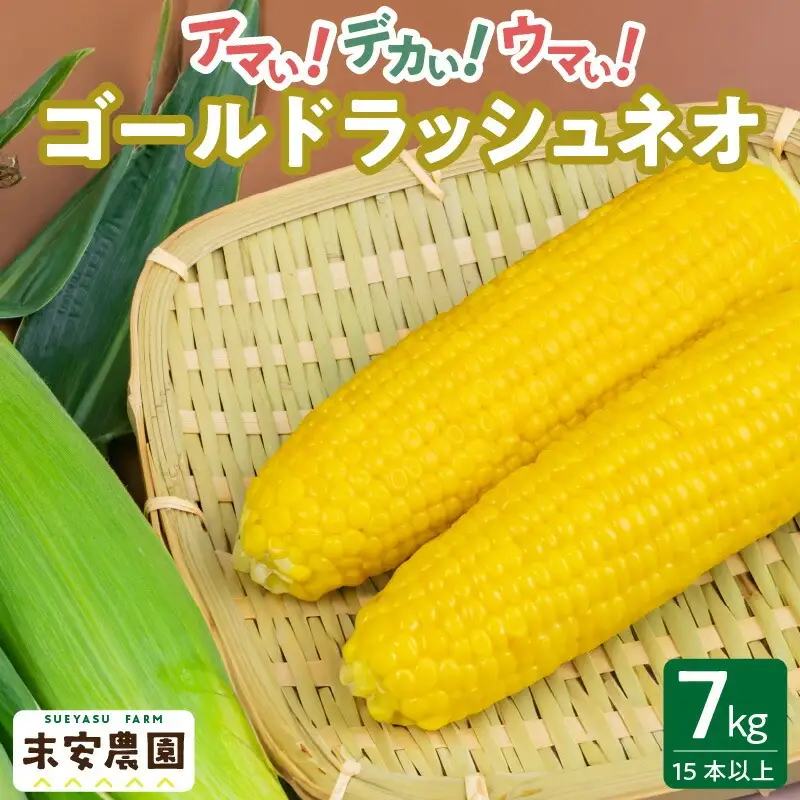 朝採れを直送！スイートコーン【ゴールドラッシュネオ】7kg（15本以上）_とうもろこし 7kg 15本以上 朝採れ スイートコーン 農家直送 ゴールドラッシュネオ 甘い 1年のうちの1ヶ月しか味わえない まるでフルーツ Sueyasu farm 新鮮 粒皮がやわらかい 焼きとうもろこし コーン 末安農園 福岡県 久留米市 お取り寄せ 野菜 送料無料 〔Gv013〕