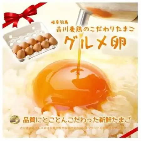 吉川養鶏のグルメ卵　Lサイズ20個(割れ保証4個含む)羽島観光協会推奨【はしまブランド】認定品　冷蔵【配送不可地域：離島】【1716004】
