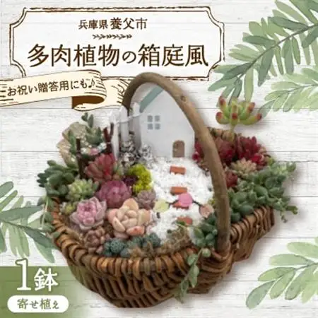 多肉BASE厳選!多肉植物の箱庭風【寄せ植え】1鉢【配送不可地域：離島】【1715898】