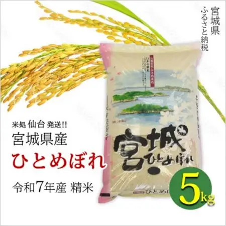 【ひとめぼれ】宮城県産 令和7年産 精米 5kg(5kg×1袋)【1700753】