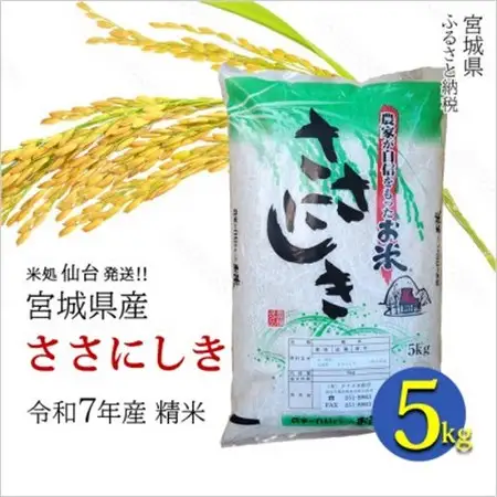 【ささにしき】宮城県産 令和7年産 精米 5kg(5kg×1袋)【1700760】