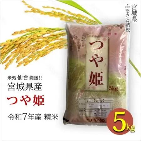 【つや姫】宮城県産 令和7年産 精米 5kg(5kg×1袋)【1700763】