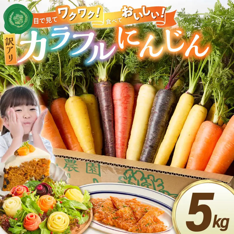 〈予約受付〉 メディア出演多数！【期間限定】（訳あり） 冬の寒さでぎゅっと濃い！虹色のカラフルにんじん 5kg 鈴盛農園 農家直送 甘い スーパーフード 健康 自慢 ジュース サラダ ギフト 贈り物 βカロテン ポリフェノール リコピン ジューシー 規格外 自慢 おためし H022-017