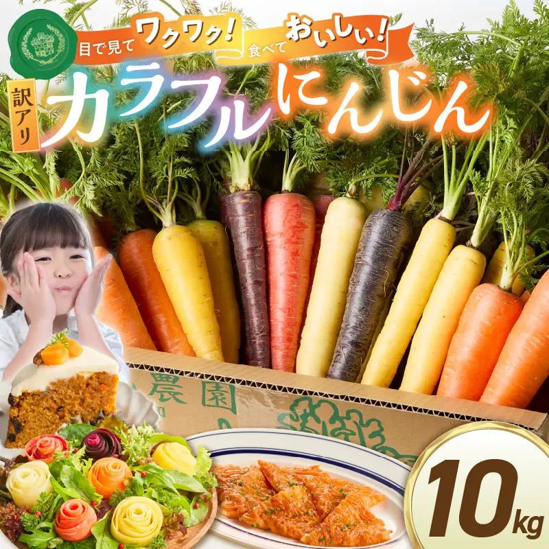 〈予約受付〉 メディア出演多数！【期間限定】（訳あり） 冬の寒さでぎゅっと濃い！虹色のカラフルにんじん 10kg 鈴盛農園 農家直送 甘い スーパーフード 健康 自慢 ジュース サラダ ギフト 贈り物 βカロテン ポリフェノール リコピン ジューシー 規格外 自慢 おためし H022-018