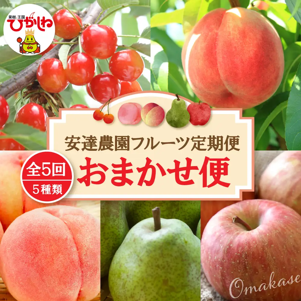 【2026年 5回定期便】安達農園フルーツ定期便 おまかせ便 安達農園提供 山形県 東根市 hi037-011（サクランボ さくらんぼ 佐藤錦 フルーツ 果物 くだもの クダモノ もも 桃 白桃 ピーチ 品種お任せ ラフランス 梨 西洋梨 洋ナシ りんご 林檎 アップル 定期便 2026年産 令和8年 セット コース 先行予約 人気 ふるさと納税 ヤマガタケン やまがたけん ヒガシネシ ひがしねし）