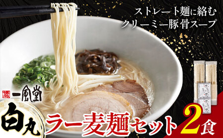 ラーメン 一風堂 白丸 ラー麦麺 2食 地域商社ふるさぽ《90日以内に出荷予定(土日祝除く)》福岡県 鞍手郡 小竹町 ラーメン とんこつ 豚骨スープ 豚骨ラーメン ラー麦 麺