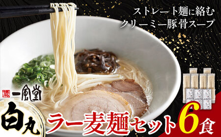 ラーメン 一風堂 白丸 ラー麦麺 6食 地域商社ふるさぽ《90日以内に出荷予定(土日祝除く)》福岡県 鞍手郡 小竹町 ラーメン とんこつ 豚骨スープ 豚骨ラーメン ラー麦 麺