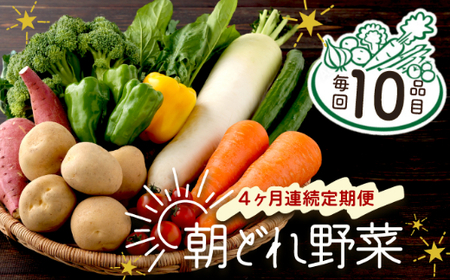 朝どれ野菜１０品目【４ヶ月連続定期便】～新型コロナ支援 野菜 定期便 詰め合わせ 頒布会