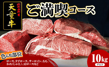 天童牛 ご満喫コース 約 10kg チルド ブランド牛 牛肉 山形牛 08-12-026-1