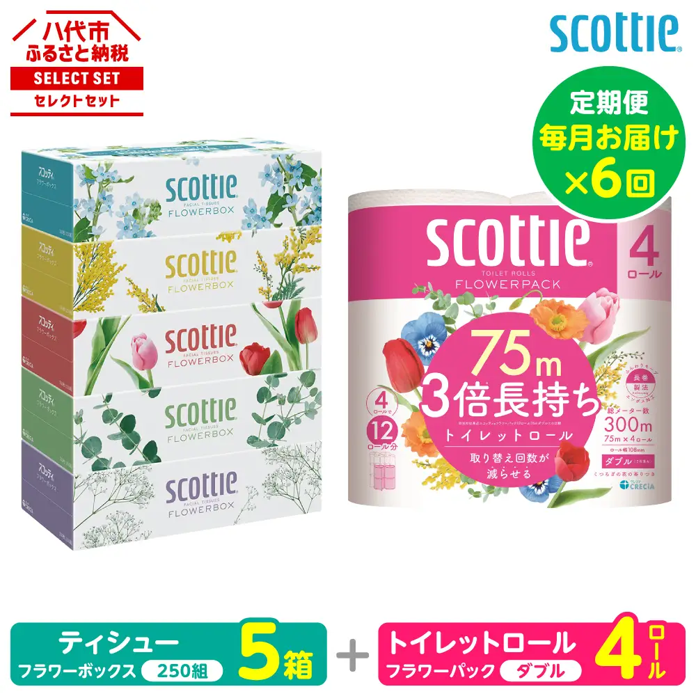 【定期便6回】【毎月お届け】【スコッティ】 組み合わせ ティシュー フラワーボックス 250組 5箱 計30箱 トイレットロール ダブル フラワーパック 3倍長持ち 4ロール 計24ロール ティッシュ トイレットペーパー 日用品 防災備蓄 ストック 備蓄 新生活 防災 消耗品 生活用品 日用消耗品 箱ティッシュ 熊本県 八代市