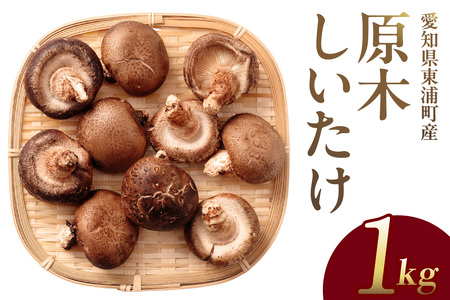 【先行予約：26年10月～発送】東浦町産 原木栽培生しいたけ（約1kg）