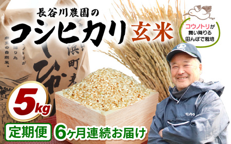 【令和7年産】定期便 ≪6ヶ月連続お届け≫長谷川農園の コシヒカリ 玄米 5kg × 6回 (計30kg) 【 こしひかり 5キロ 玄米 】 [m22-f003]
