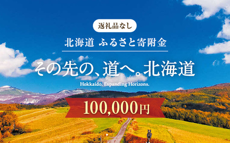 【ふるさと寄附金】北海道庁 100,000円 返礼品なしのご寄附 応援 エール 寄附のみ 返礼品なし 返礼品なしの寄附  F6S-683