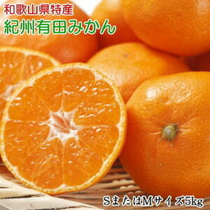 ZD6189n_ 【2026年先行予約】【秀品】 和歌山 有田みかん 5kg (SサイズまたはMサイズ) 【ミカン 蜜柑 柑橘 温州みかん 有田みかん】