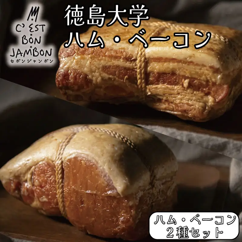 徳島大学 熟成ロースハム ベーコン セット 500g ハム