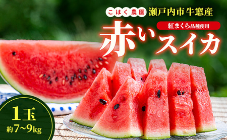 スイカ 瀬戸内市牛窓産 1玉(約7～9kg)  スイカ