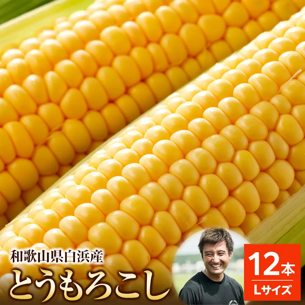 ［先行予約］しらはま農家 とうもろこし Lサイズ 12本 ［2026年6月発送予定］
