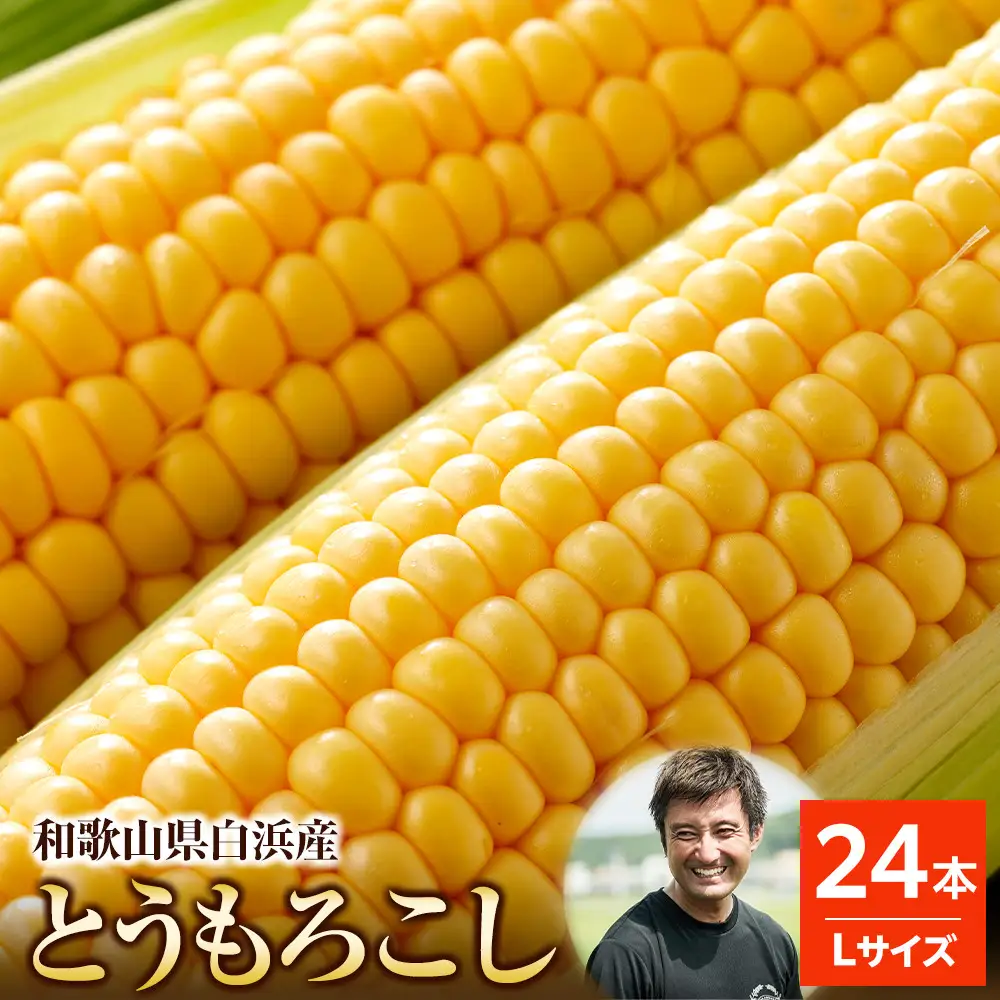 ［先行予約］しらはま農家 とうもろこし Lサイズ24本 ［2026年6月発送予定］