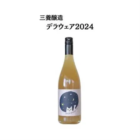 三養醸造 デラウェア2024 750ml×1本【配送不可地域：離島】【1704440】