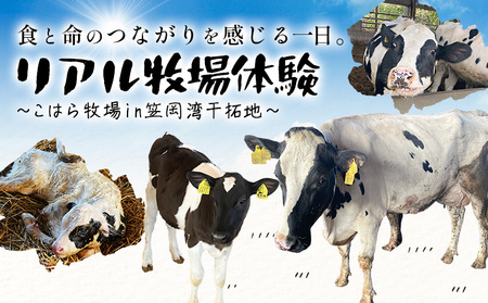 食と命のつながりを感じるリアル牧場体験 ～ こはら牧場 in 笠岡湾干拓地 ～