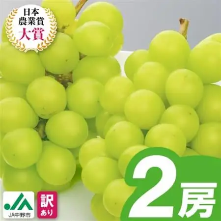 【2026年発送】訳ありシャインマスカット2房1kg以上　JA中野市から産直【配送不可地域：離島】【1716008】