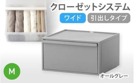 クローゼットシステム ワイド引出し（M） CS-WD2 オールグレー【like024-2A】