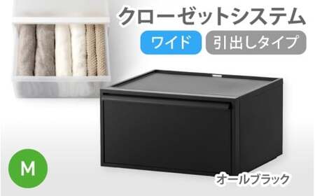 クローゼットシステム ワイド引出し（M） CS-WD2 オールブラック【like024-3A】
