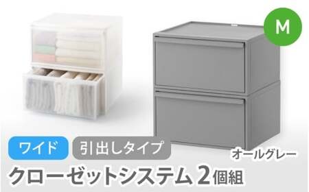 クローゼットシステム ワイド引出し（M）2個組 CS-WD2 2P オールグレー 【like025-2A】
