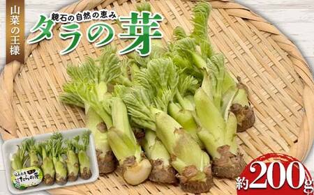 山菜の王様 鏡石の自然の恵み タラの芽 約200g（約50g×4） 山菜 野菜