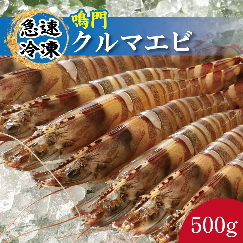 車海老 500g 約12尾～17尾 クルマエビ