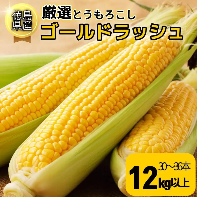 【6月下旬から7月下旬まで発送】とうもろこし ゴールドラッシュ 12kg以上 