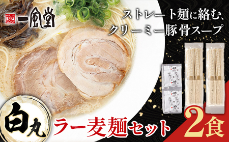 ラーメン 一風堂 白丸 ラー麦麺 セット 2食 地域商社ふるさぽ《90日以内に出荷予定(土日祝除く)》福岡県 鞍手町 ラーメン とんこつ 豚骨スープ 豚骨ラーメン ラー麦 麺