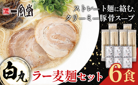 ラーメン 一風堂 白丸 ラー麦麺 セット 6食 地域商社ふるさぽ《90日以内に出荷予定(土日祝除く)》福岡県 鞍手町 ラーメン とんこつ 豚骨スープ 豚骨ラーメン ラー麦 麺