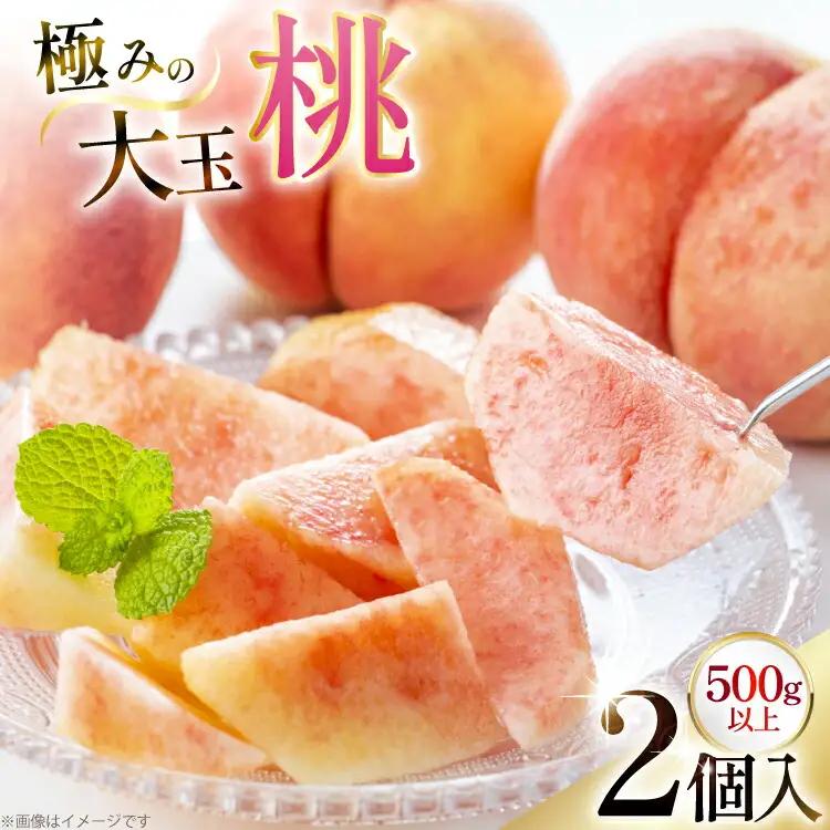 【期間限定発送】 桃 さくら白桃 極みの大玉 500g以上 2玉 [東城農園 山形県 高畠町 tk06ayt370006]