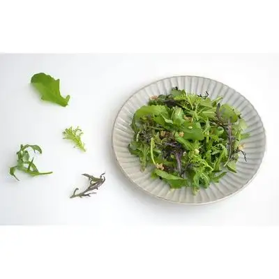 国産 ハーブ 詰め合わせセット 約450g 4種 8袋