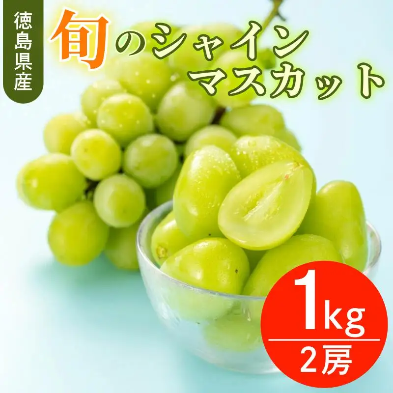 【6月中旬～8月中旬まで順次発送】シャインマスカット 1kg 2房 国産