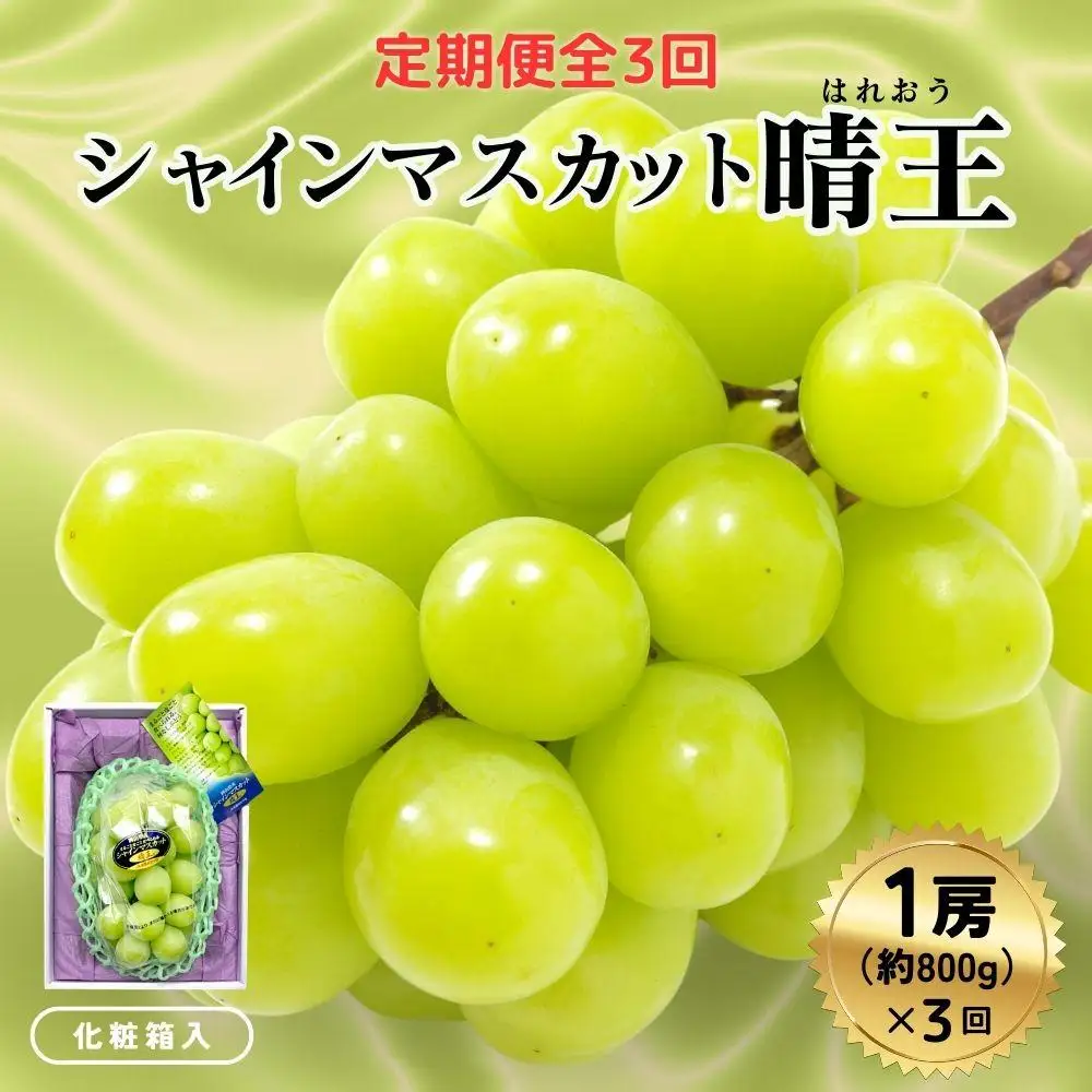 ＜定期便全3回＞ シャインマスカット晴王1房800ｇ化粧箱入  3回コース【2026年発送】[040-a012]