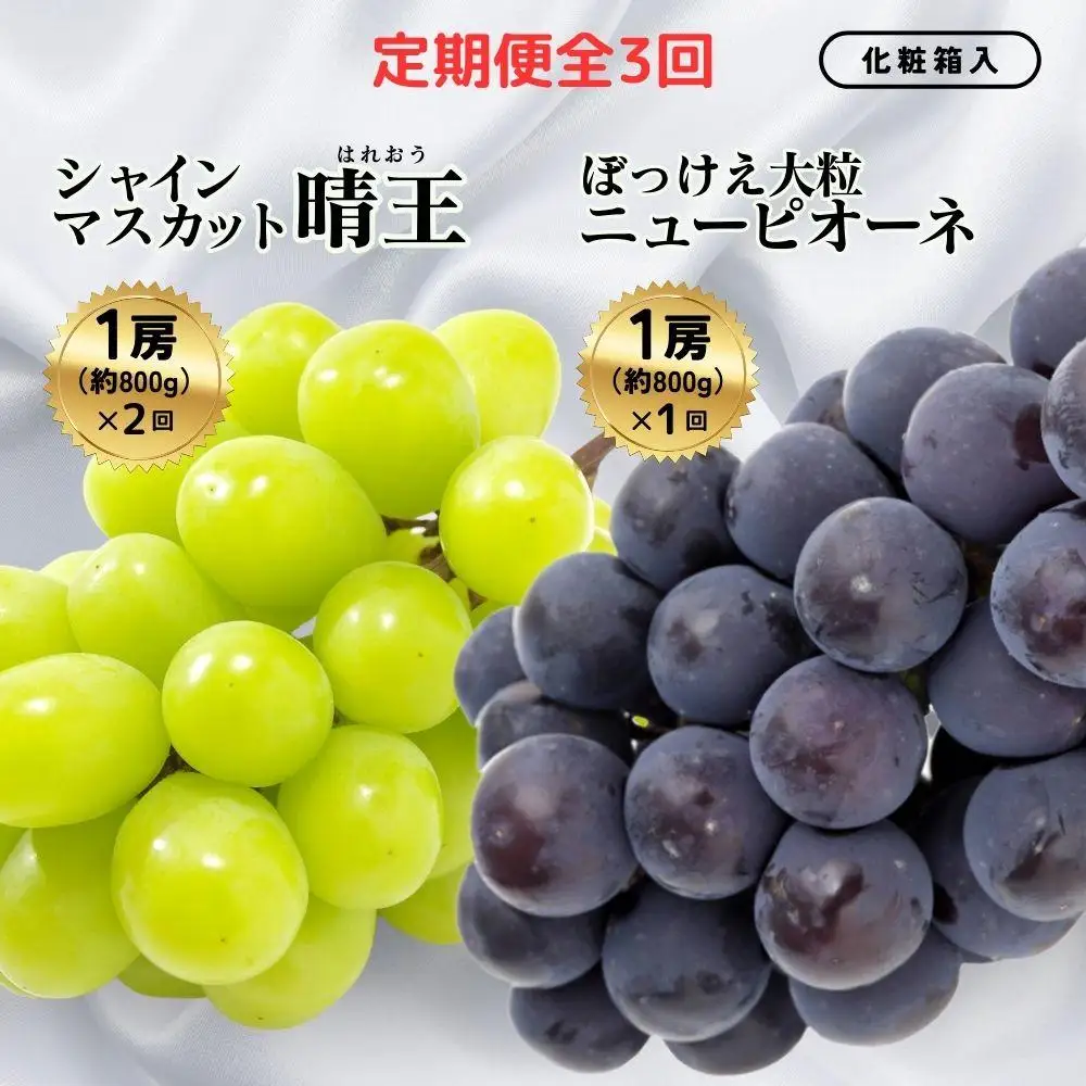＜定期便全3回＞シャインマスカット晴王1房800g 2回とぼっけぇピオーネ1房800g 1回の計3回コース [040-a013]