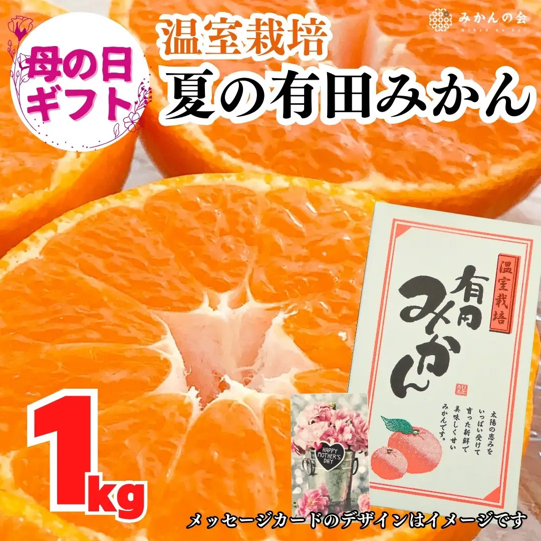 【母の日ギフト】ハウスみかん 温室栽培 夏の有田みかん 1kg 秀品 L M Sサイズのいずれか 和歌山県産 産地直送 【みかんの会】