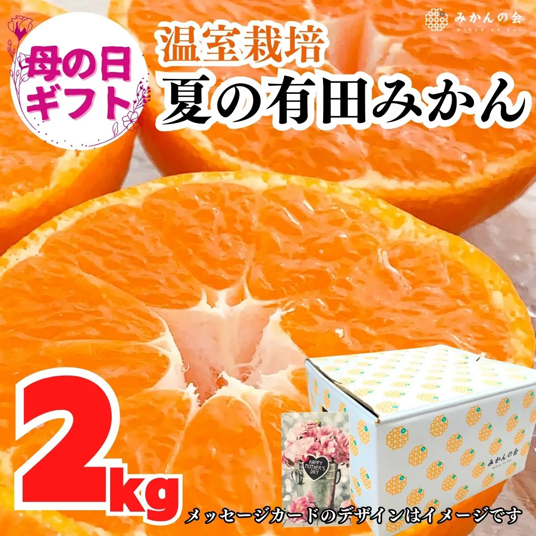 【母の日ギフト】ハウスみかん 温室栽培 夏の有田みかん 2kg 秀品 L M Sサイズのいずれか 和歌山県産 産地直送 【みかんの会】