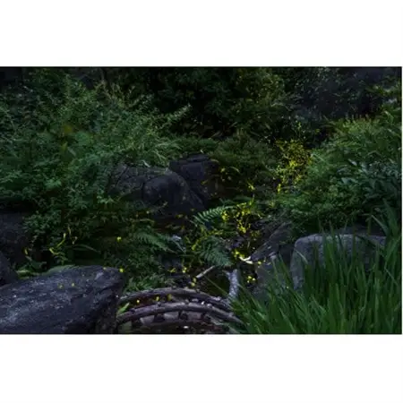 天理の風景5『 THE GARDEN OF DELIGHT 』2Lメタルグラフィックアート【1714783】