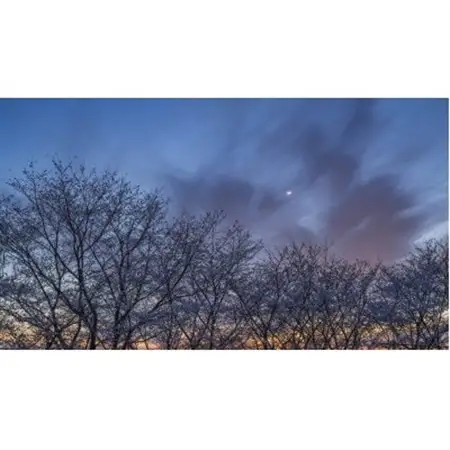 天理の風景4『 PULSE OF TIME ～ 時の鼓動 ～ 』A4額装プリント【1714819】